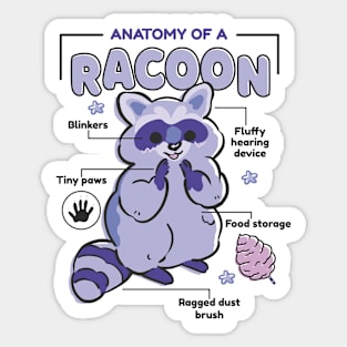 Racoon Anatomy Funny Kawaii Sticker